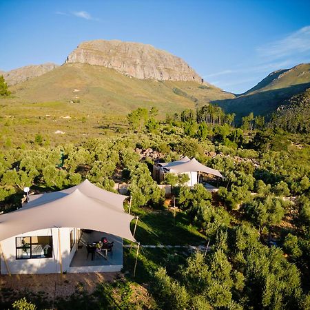 Wagyu Mountain Lodge Paarl Exteriér fotografie