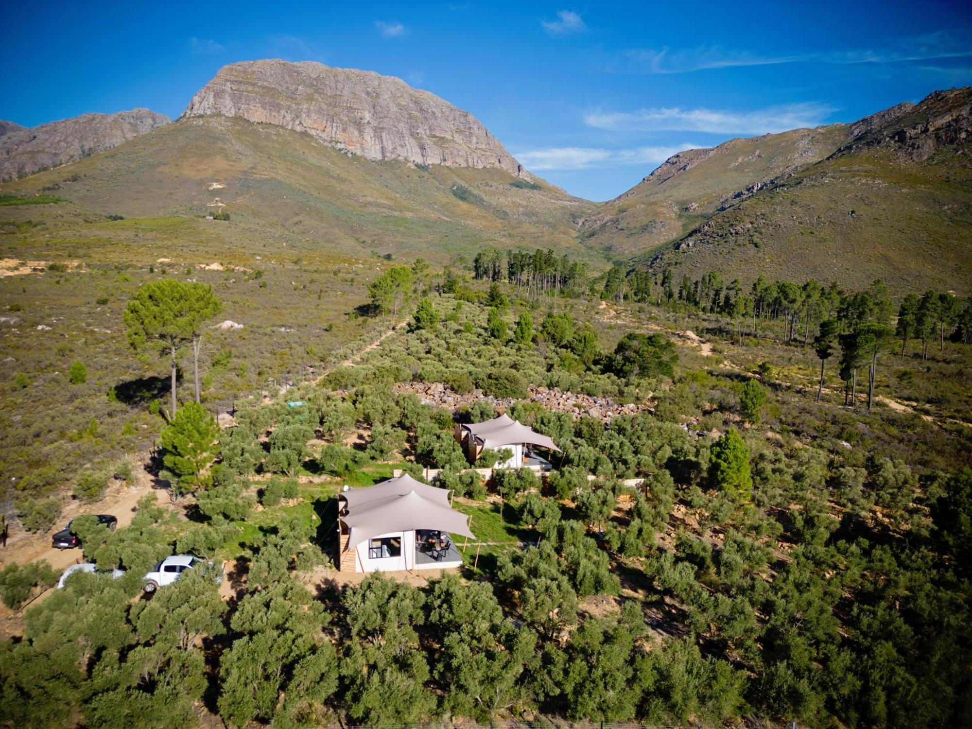 Wagyu Mountain Lodge Paarl Exteriér fotografie
