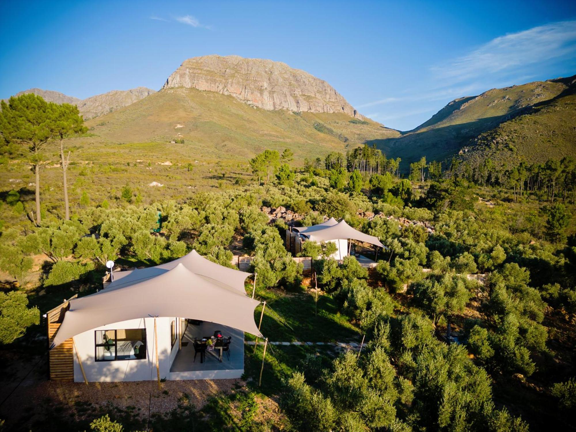 Wagyu Mountain Lodge Paarl Exteriér fotografie