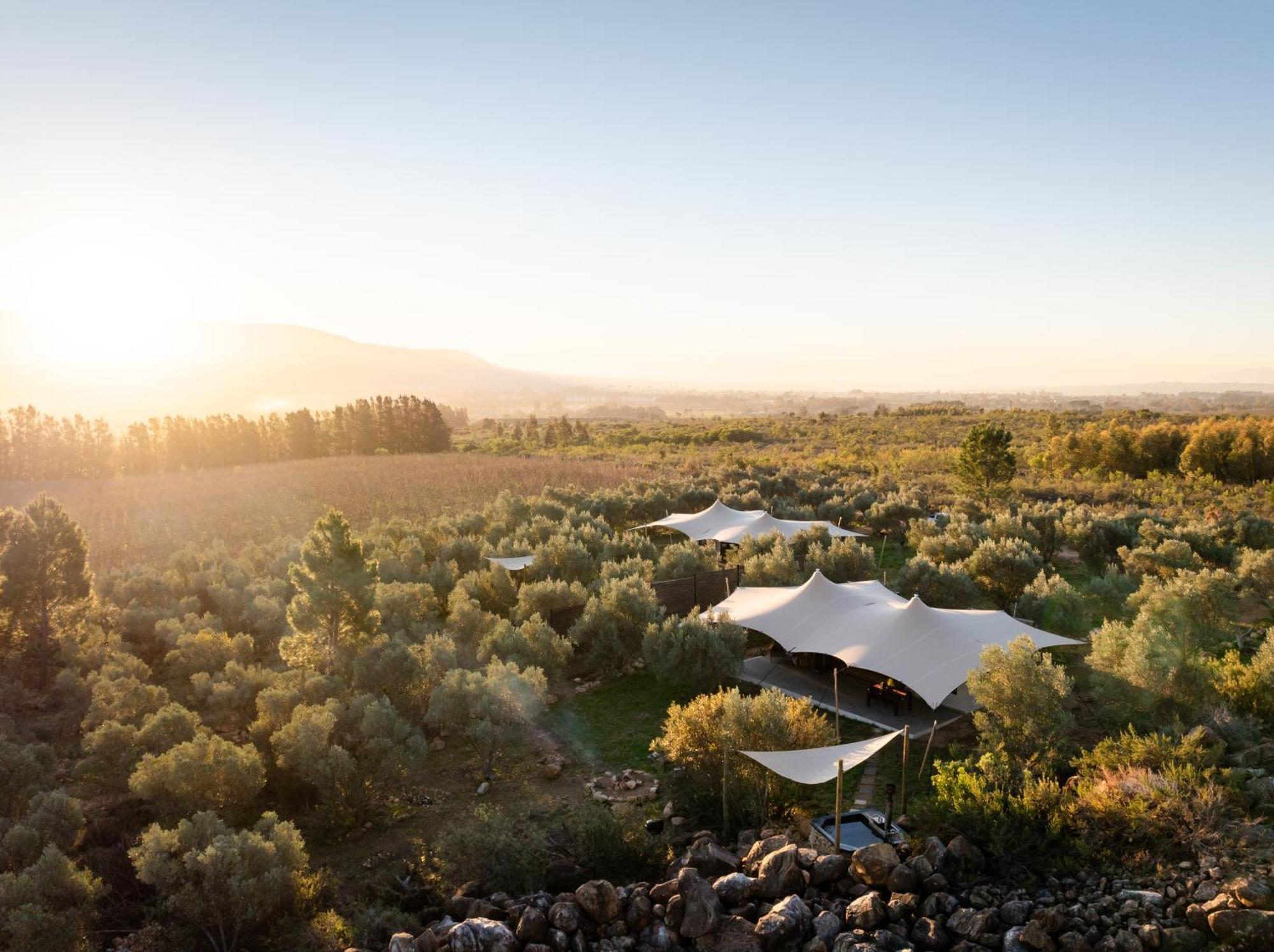 Wagyu Mountain Lodge Paarl Exteriér fotografie